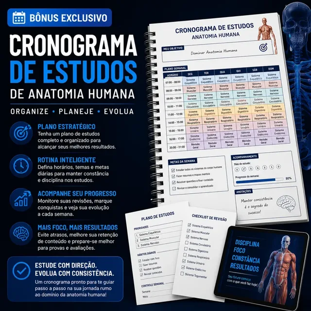 Plano de estudo semanal de Anatomia Humana