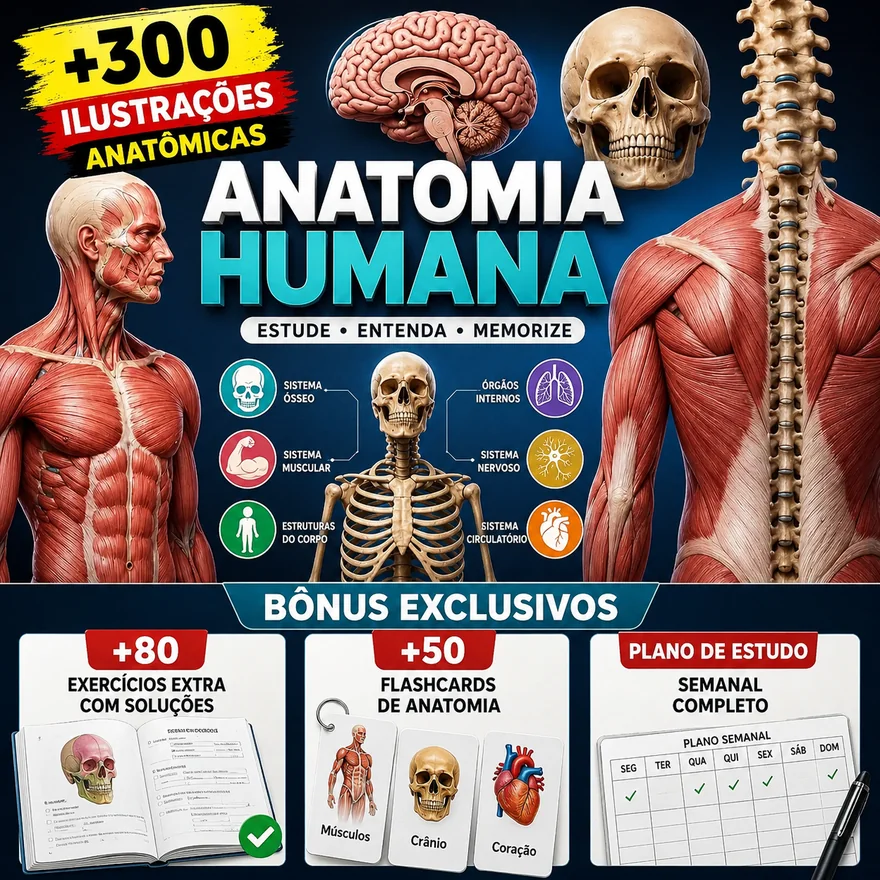 Atlas Visual de Anatomia Humana com os três bónus: mais de 80 exercícios com soluções, mais de 50 flashcards e o plano de estudo semanal